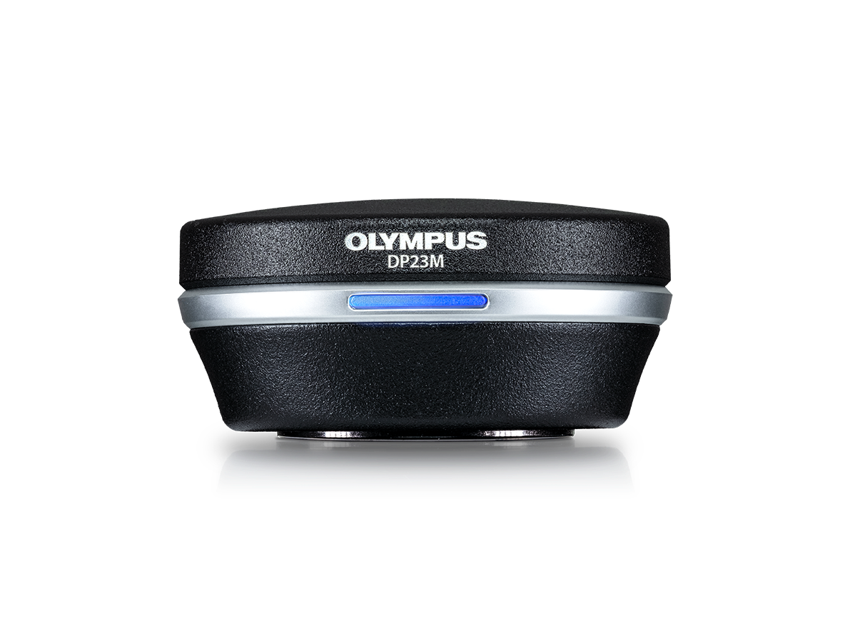 DP23M デジタル顕微鏡カメラ | Evident Scientific