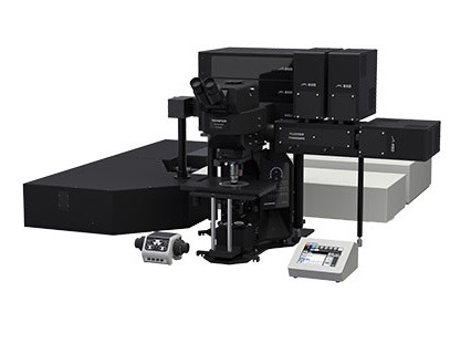 ★特選一品★孔雀&水晶♡浄化スペシャル【孔雀『ピーファウル』型ディスプレイ器】 FLUOVIEW FV4000MPE 多光子励起レーザー走査型顕微鏡 | Evident