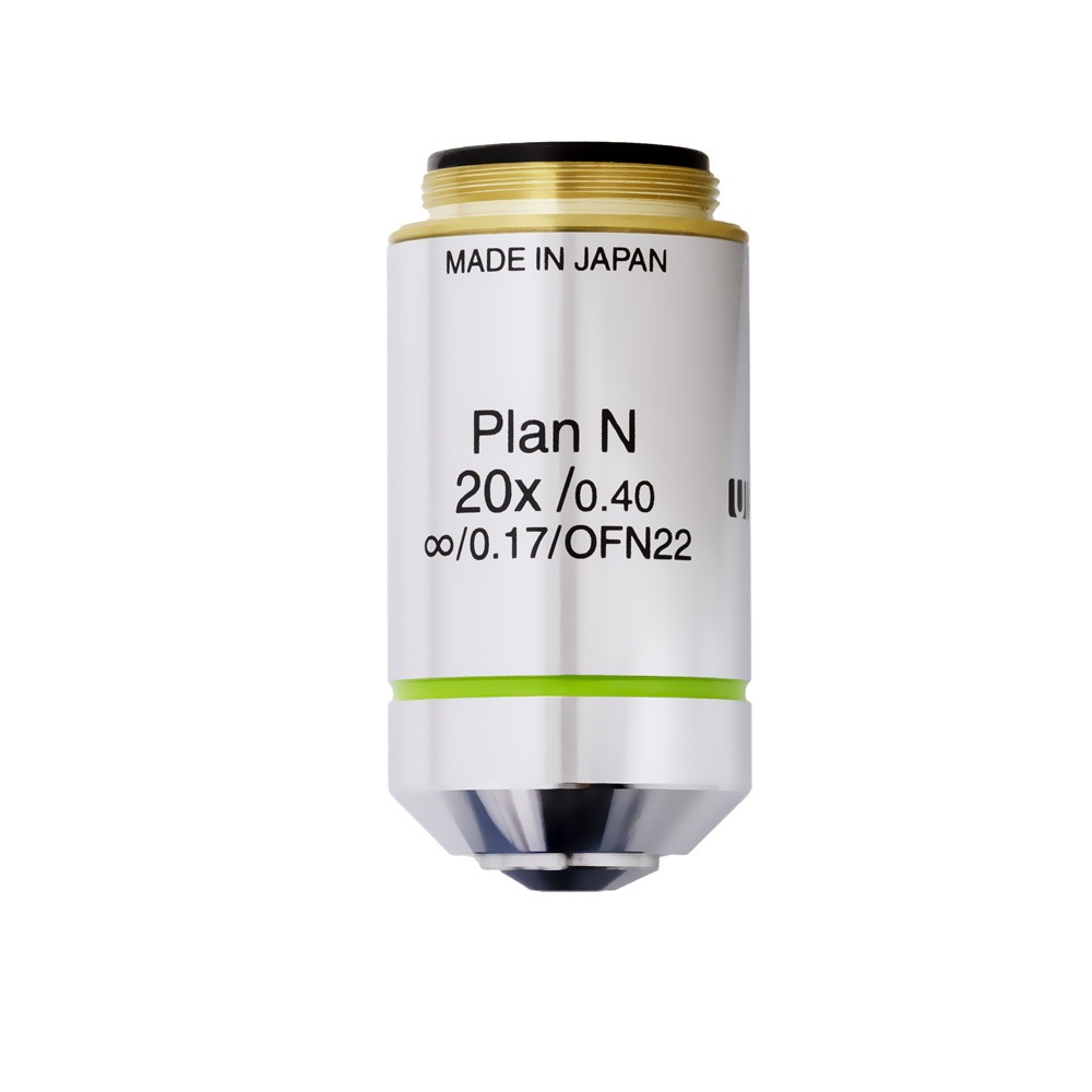 Sofft レディース Ardee ブラック, スカイブルー, 6.5 Sofft Women's Ardee Sky Blue 並行輸入品 Ardee | Sofft Shoe