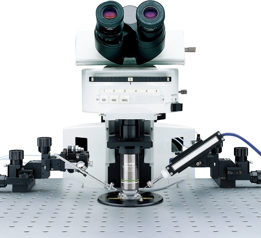 Hiro  水槽台 引取限定】120センチ水槽セット、専用水槽台付き