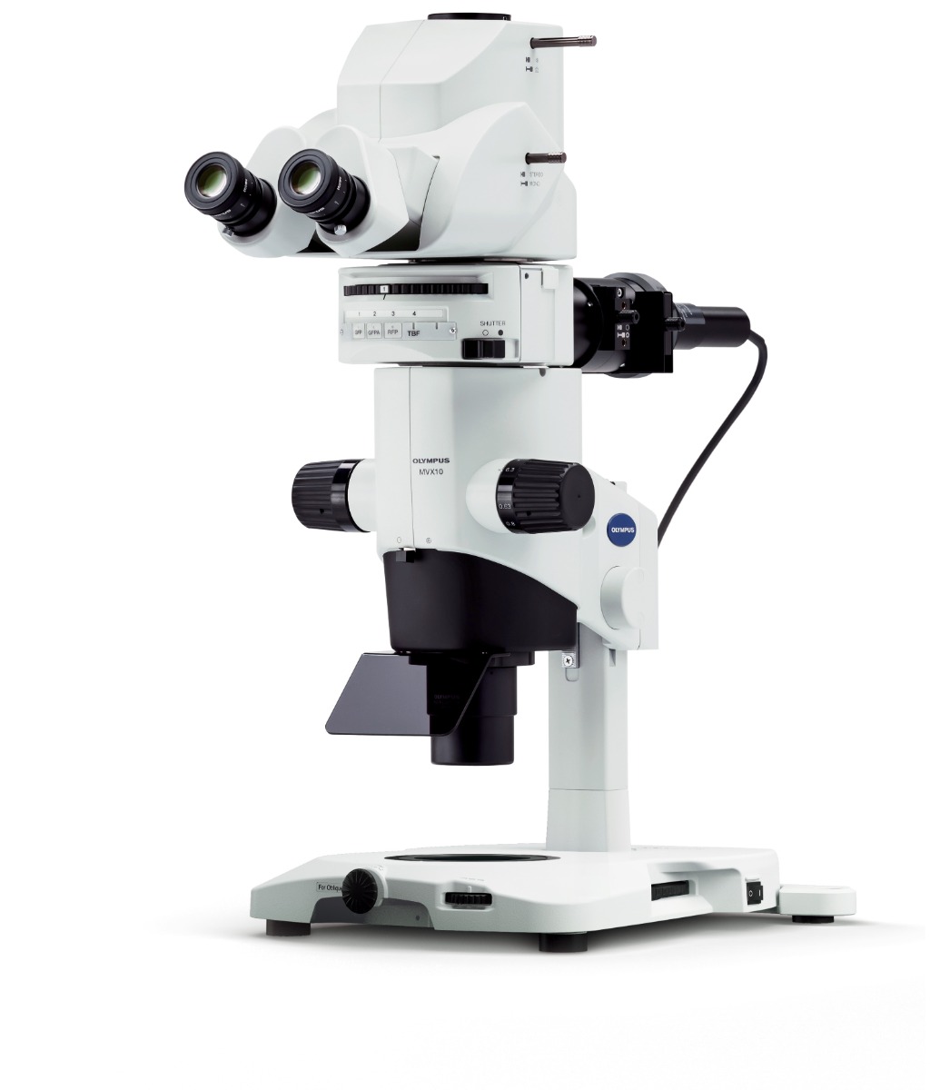 顕微鏡 CARL ZEISS JENA カールツァイス Nr.182567 ドイツ製 土台付き