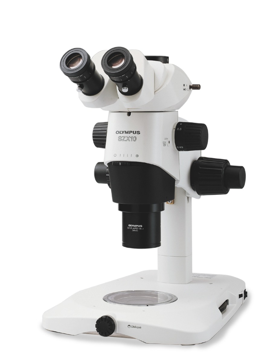 szx10 | Evident Scientific